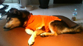 2011100507230000.jpg