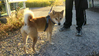 2011100507230001.jpg