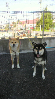2011100809160000.jpg
