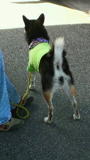 2011100917530000.jpg