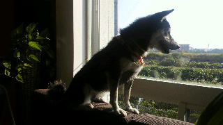 2011100917550000.jpg