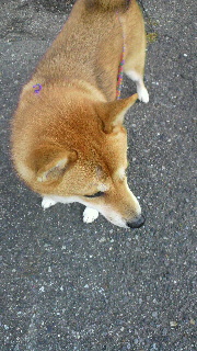 2011101206370000.jpg