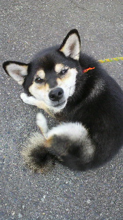 2011101206370001.jpg
