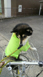 2011101306510001.jpg