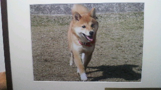 2011101509310000.jpg