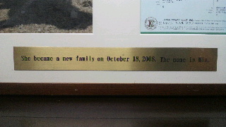 2011101509310002.jpg