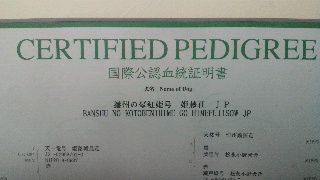 2011101509310003.jpg