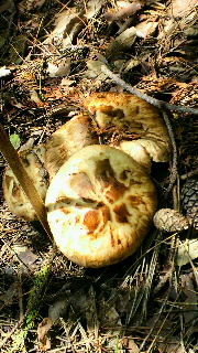 2011101616490000.jpg