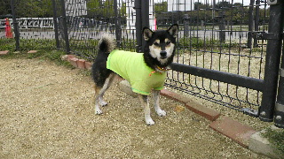 2011101716080000.jpg