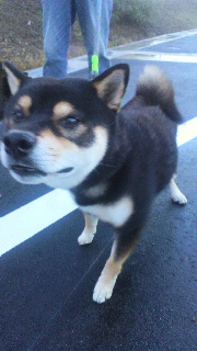 2011101717310000.jpg