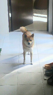 2011102514310000.jpg
