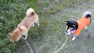 2011102606270000.jpg