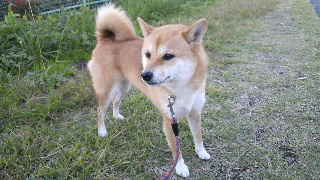 2011102606270001.jpg