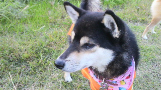 2011102606270002.jpg