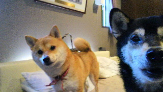 2011122316530001.jpg