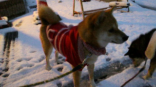 2011122606380000.jpg