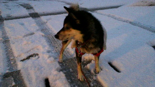 2011122606380001.jpg