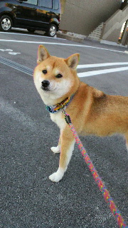 2011123116230002.jpg