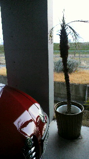 2012011912060000.jpg