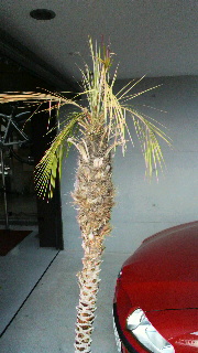 2012011912060001.jpg
