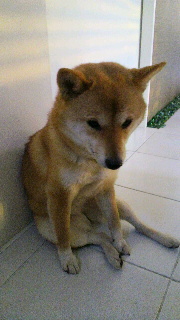 2012011912070000.jpg