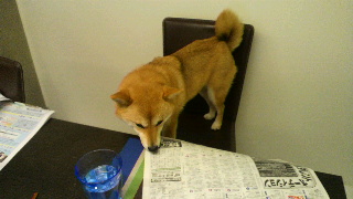 2012012219230002.jpg