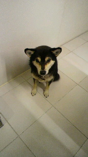 2012012219230003.jpg