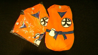 2012012221130000.jpg