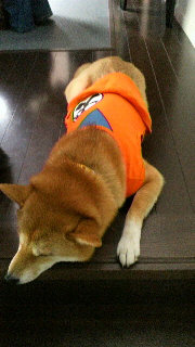 2012012307390000.jpg