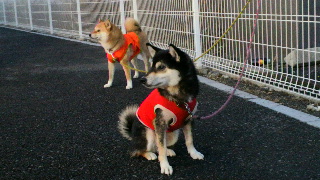 2012012406450000.jpg