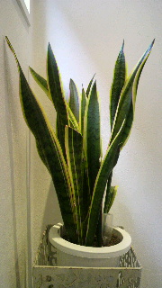 2012012708140000.jpg