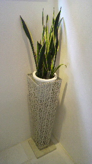 2012012708140001.jpg