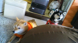 2012012708140002.jpg