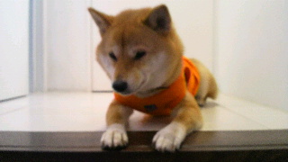 2012012909070000.jpg