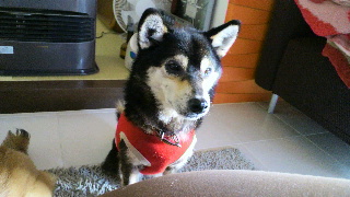 2012012909070001.jpg