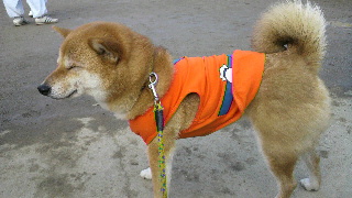2012020416510000.jpg