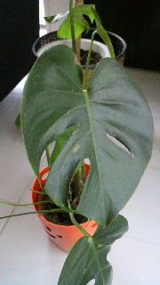 2012021706030000.jpg