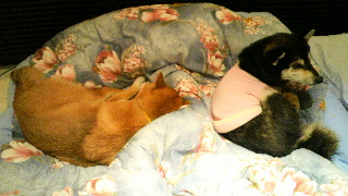 2012021814060000.jpg