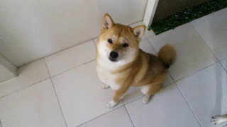 2012021908040001.jpg