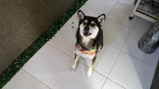 2012021908050000.jpg