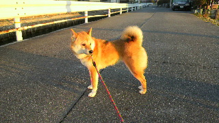 2012022008020000.jpg