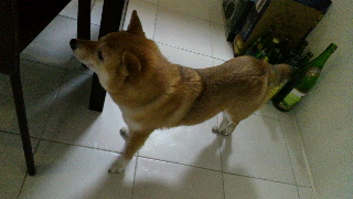 2012022118030001.jpg