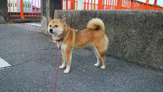2012022520430002.jpg