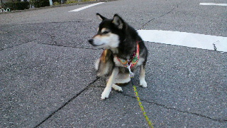 2012022520430003.jpg