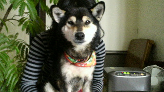 2012022521010002.jpg