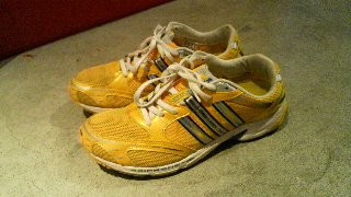 2012022908050000.jpg