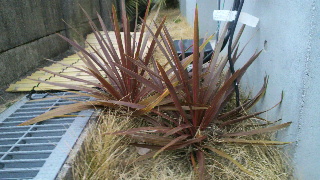 2012030206590000.jpg