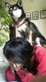 2012030206590002.jpg