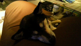2012030206590003.jpg