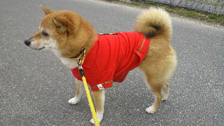 2012030417480000.jpg